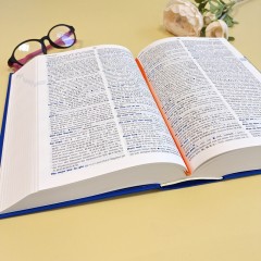 现代德语学习词典（德汉双解版）