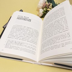 英国文学的命运共同体表征与审美研究 文献卷：文学中的共同体——文学-政治介入的现实性